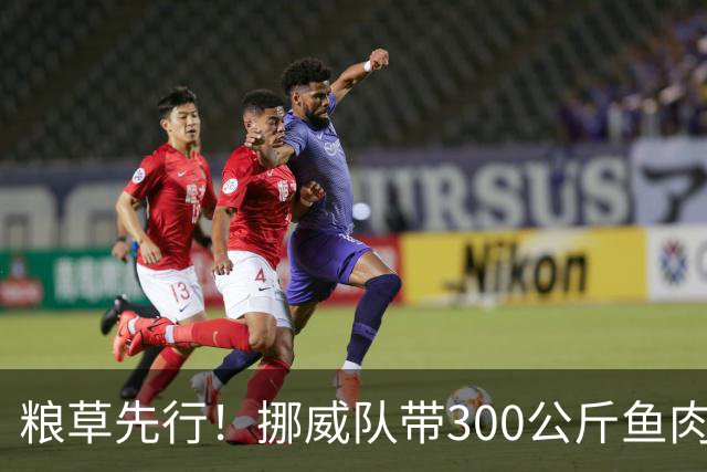 粮草先行！挪威队带300公斤鱼肉+116公斤奶酪赴美踢世界杯